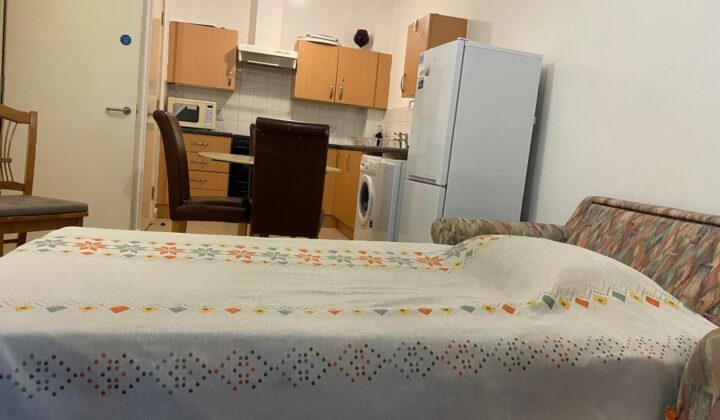 شقة غرفة نوم واحدة