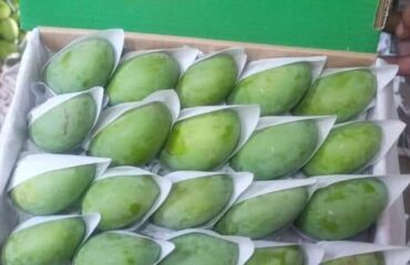 IMG-20260724-WA0002